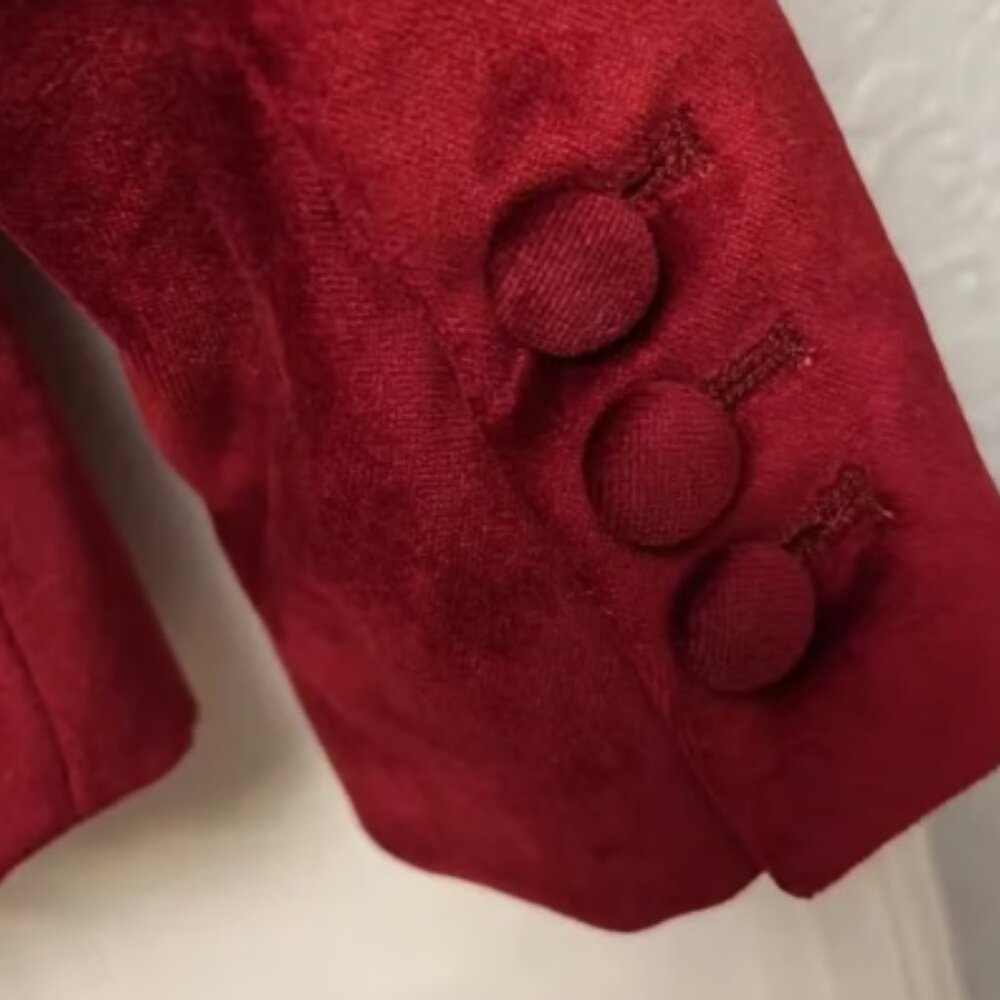 Altuzarra Target Red Velvet Blazer Tuxedo Pants Set Red Velvet - Picture 7 of 7